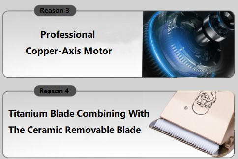 C28 Bearrthóirí Gruaige C28 Bearrthóirí Gruaige