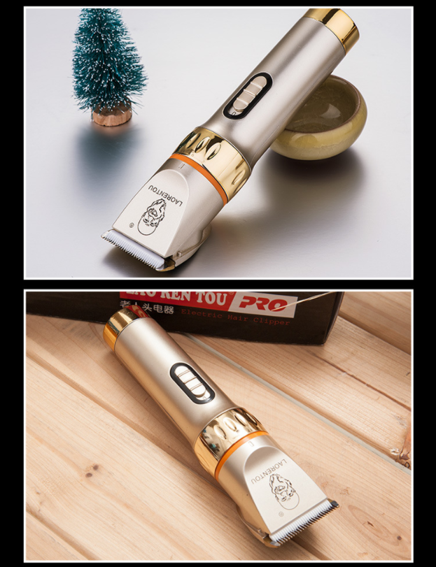 Bearrthóirí Gruaige A45