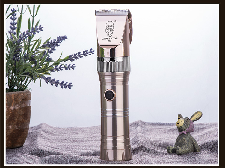 Gearrthóirí Gruaige A63