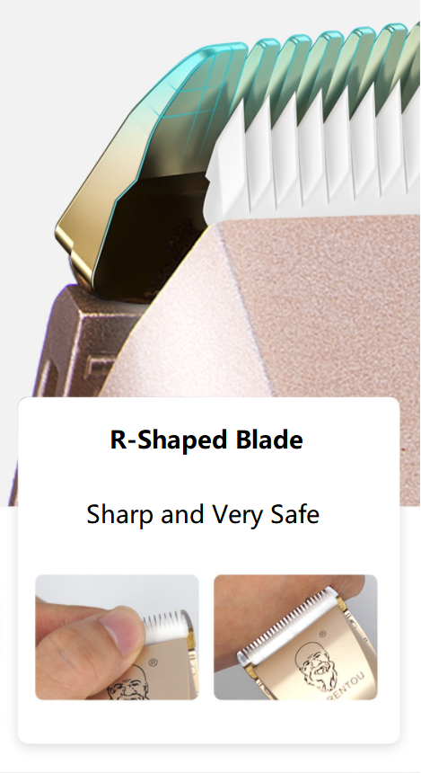 Bearrthóirí Gruaige A65