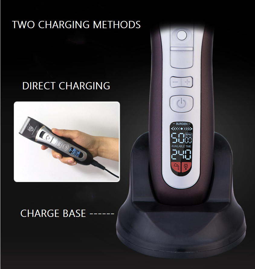 Bearrthóirí Gruaige A78