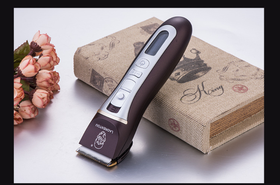 Bearrthóirí Gruaige A78