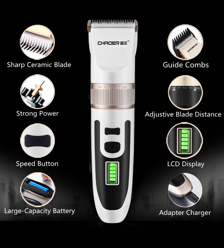 B56 Bearrthóirí Gruaige