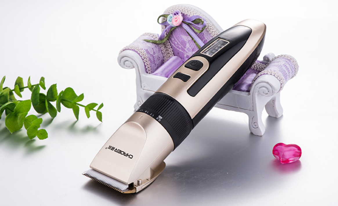 B56 Bearrthóirí Gruaige