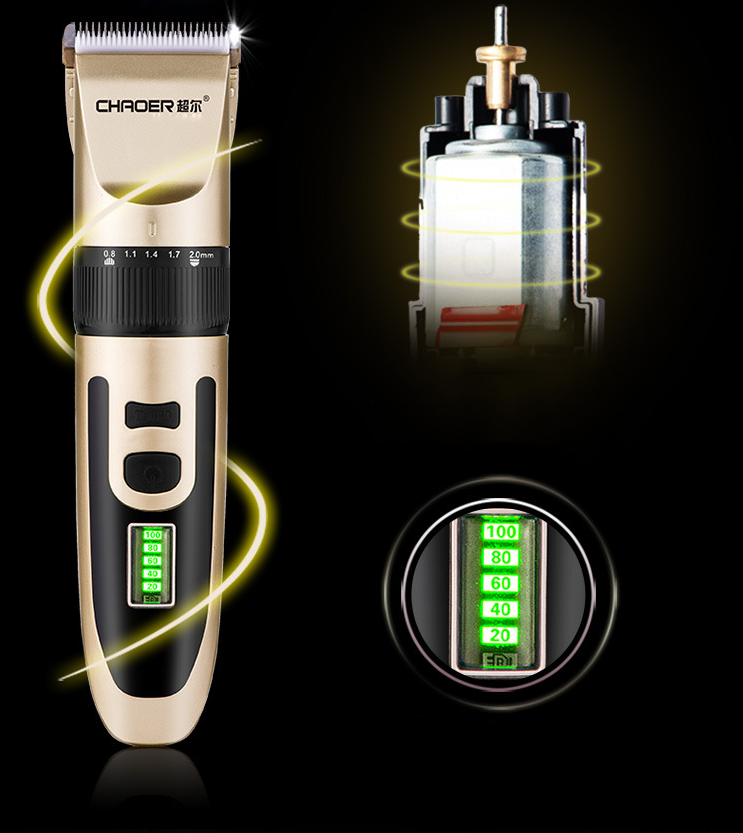 B56 Bearrthóirí Gruaige