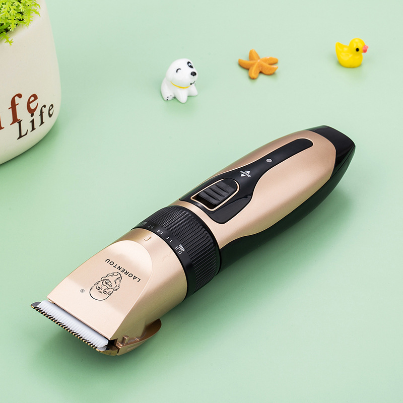 C28 Bearrthóirí Gruaige