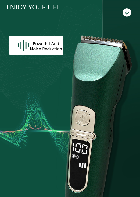 89 Bearrthóirí Gruaige 89 Bearrthóirí Gruaige