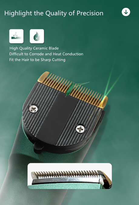 89 Bearrthóirí Gruaige 89 Bearrthóirí Gruaige