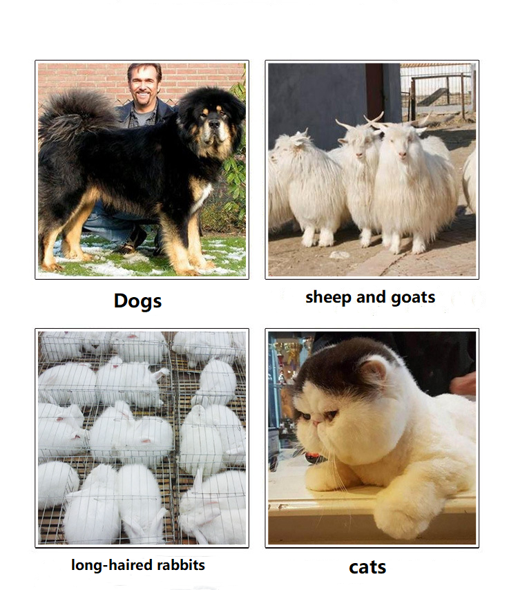 Gearrthóg Peataí Cordáilte T63