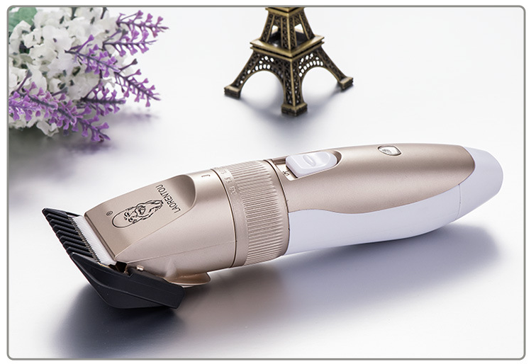 Gearrthóir Gruaige Teaghlaigh A49USB