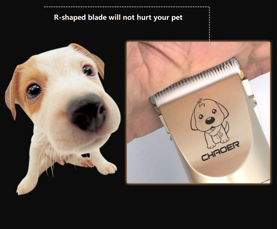 A60 usb clipper peataí gan sreang