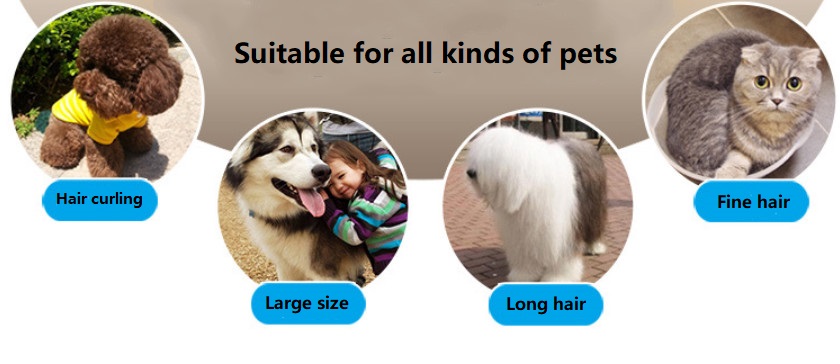 A60 usb clipper peataí gan sreang