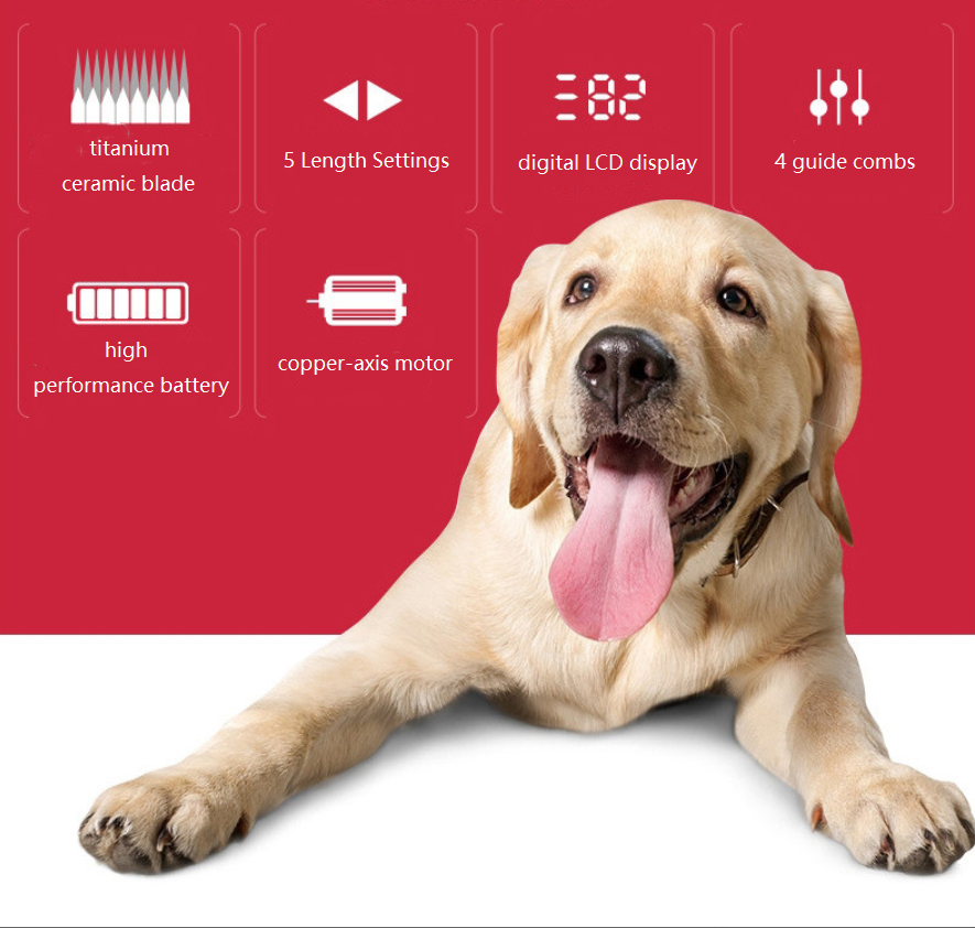 C67 usb clipper peataí