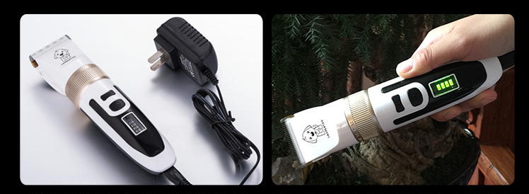 P56 Clipper Peataí Gan sreang