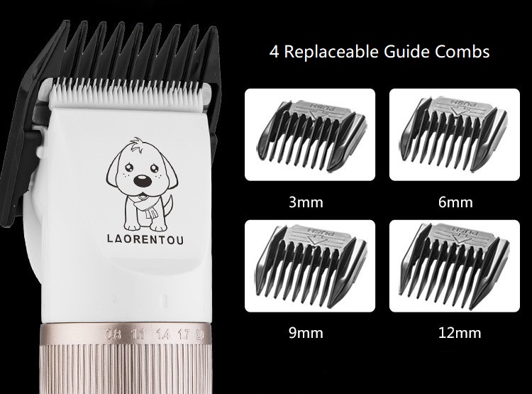 P56 Clipper Peataí Gan sreang