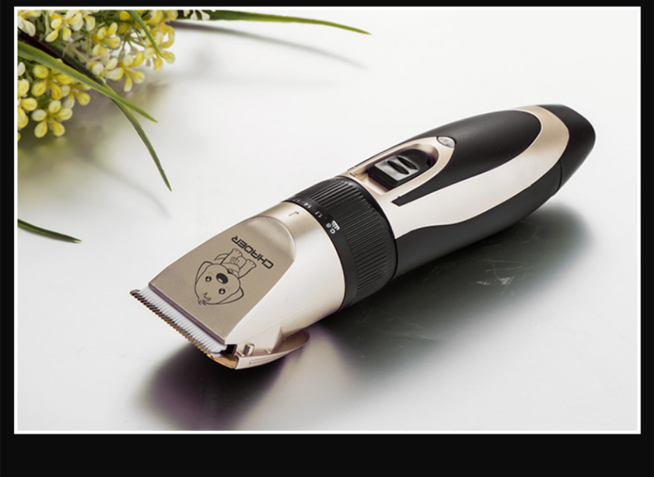 Líne P60 Clipper Peataí Gan sreang