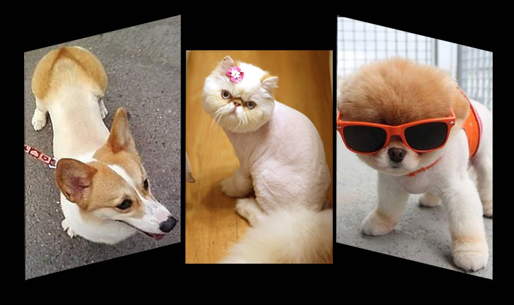 P65 usb clipper peataí gan sreang