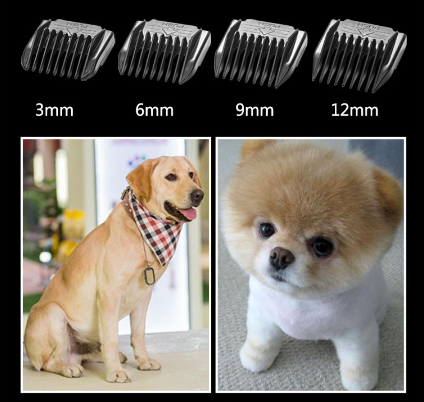 P67 Clipper Peataí gan sreang