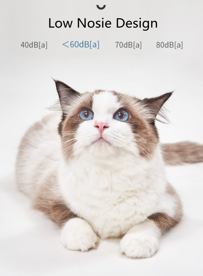 P45 Clipper Peataí Gan sreang