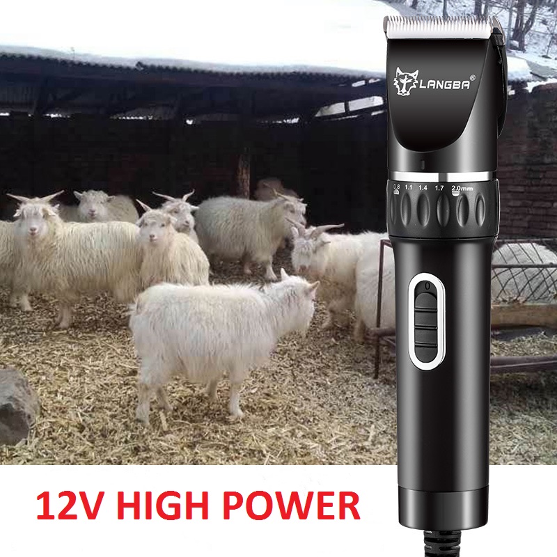 Gearrthóir Peataí Cordáilte T45