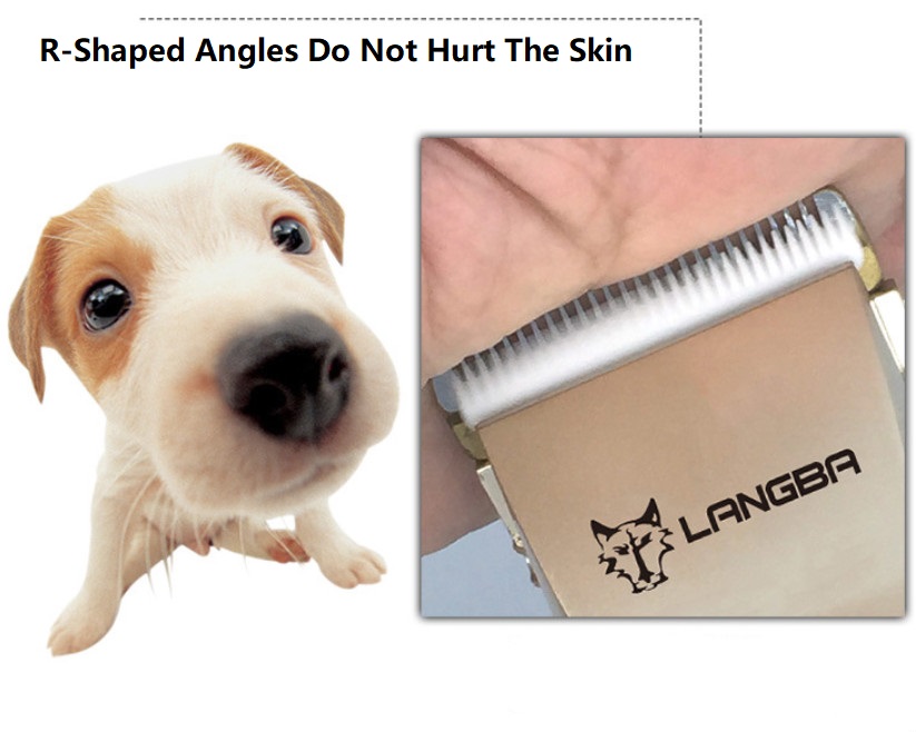 LANGBA AB60 Clipper Peataí gan sreang