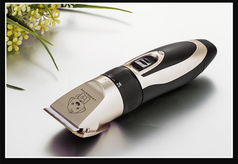 LAORENTOU AB60 Clipper Peataí gan sreang