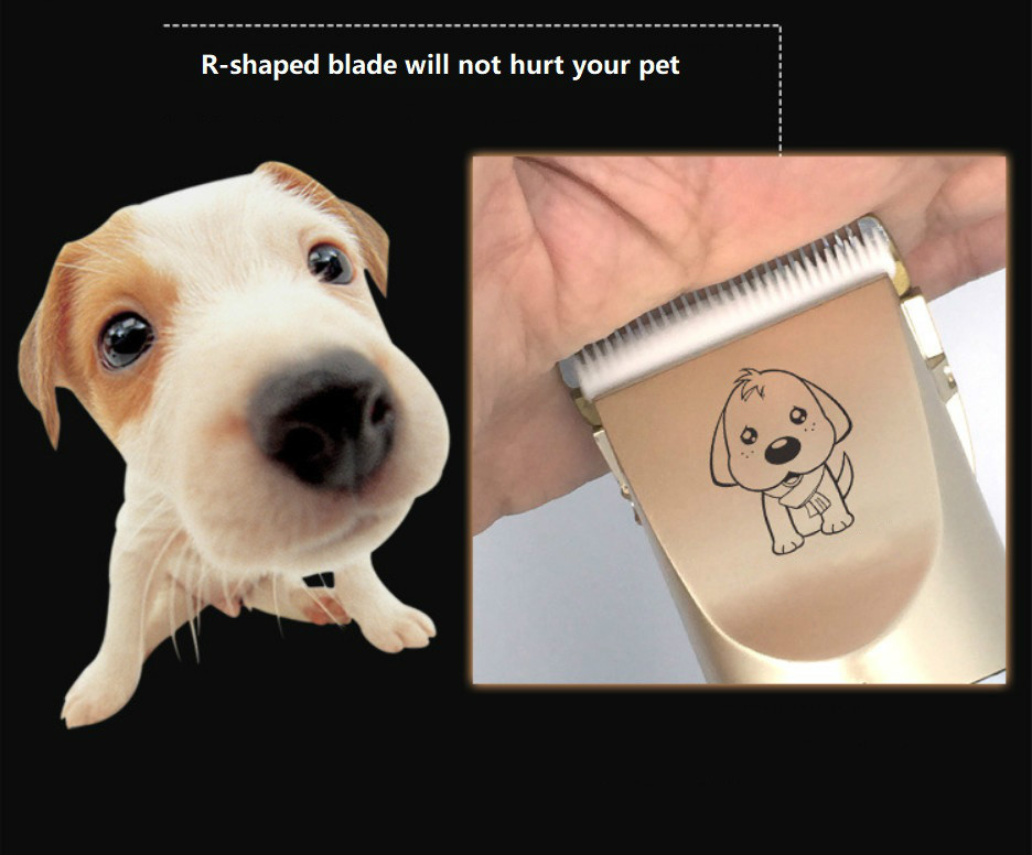 LAORENTOU AB60 Clipper Peataí gan sreang